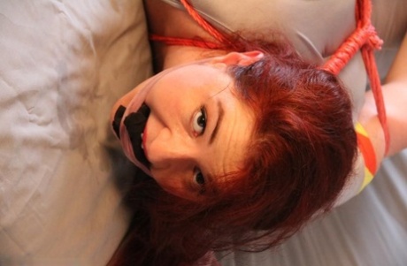 křivky bdsm pornografická erotika fotografie