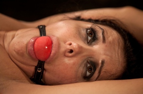 Francesca Le adult star pics