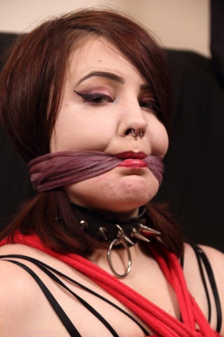ぽっちゃりボンデージ 美しいヌード 写真
