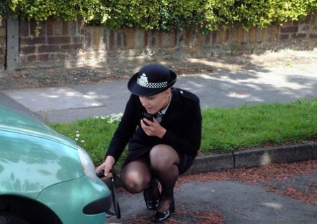 britská zrzka horká vysoká kvalita snímky