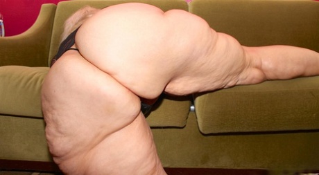 moden ssbbw voksen varm galleri