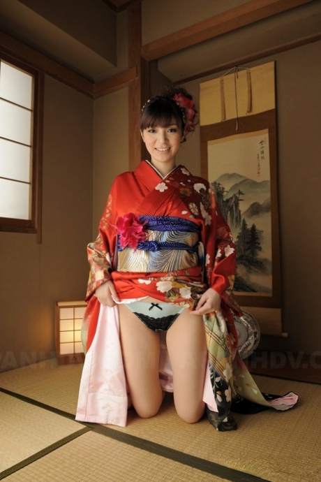 japonská pod sukni výhradní obrázek