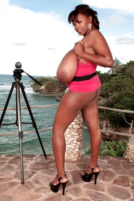 Miosotis top star gallery