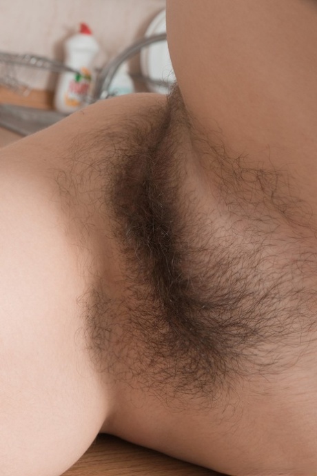hairy vagina hot porn photo