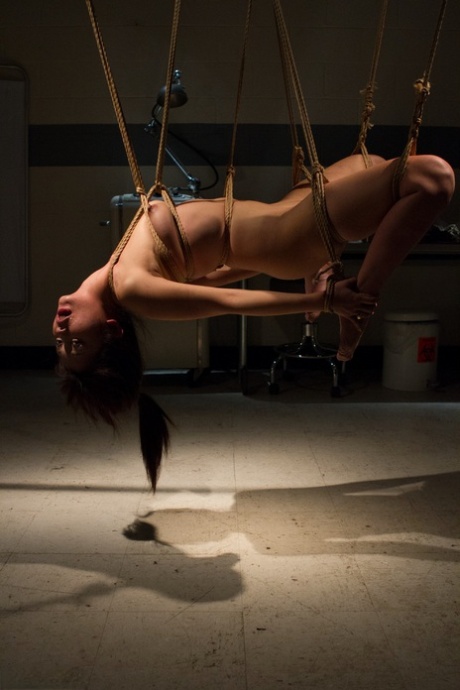 日本のBDSM HD 画像