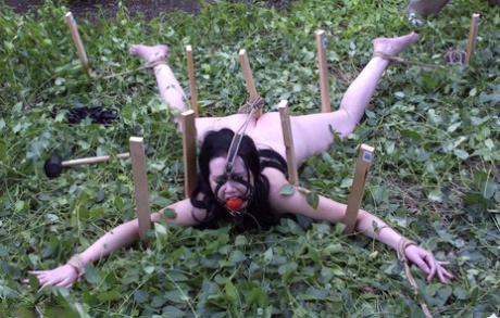 udendørs bdsm hed galleri