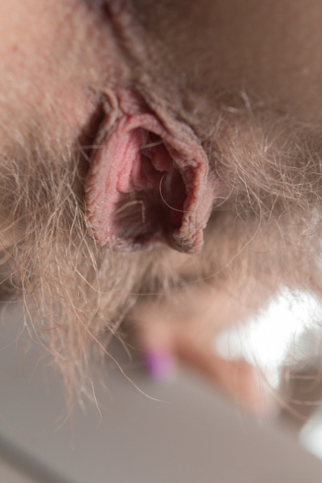 chatte poilue dadolescente pornographique adulte collection