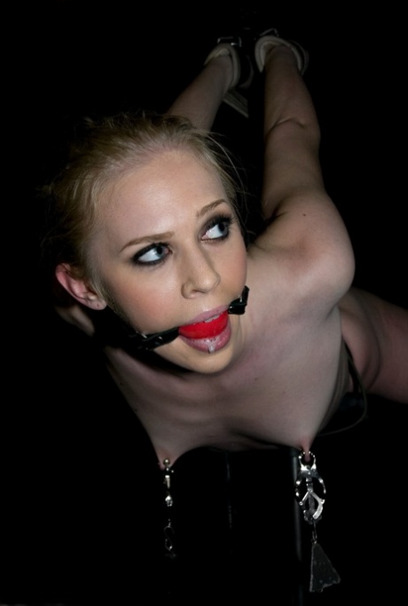 petite bdsm pornographic galleries