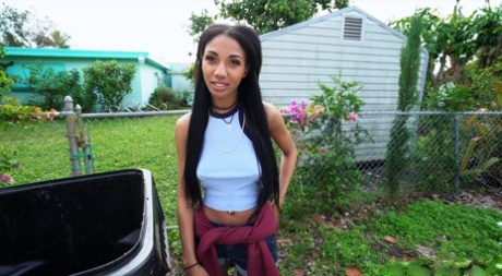 Alexis Avery exclusive pornstar image