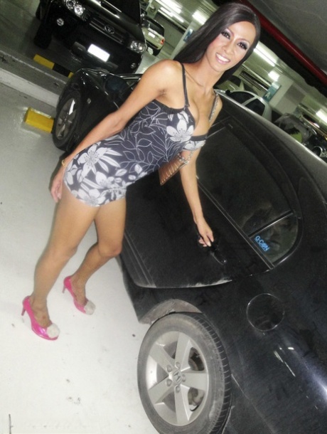 pattaya ladyboy hd picture