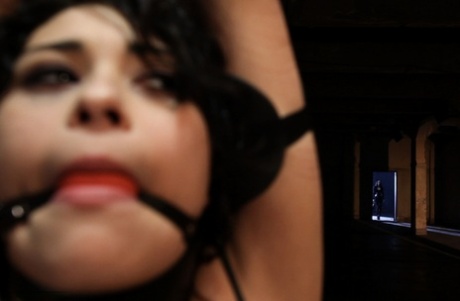 plattelandsmeisje gratis pornografisch afbeeldingen