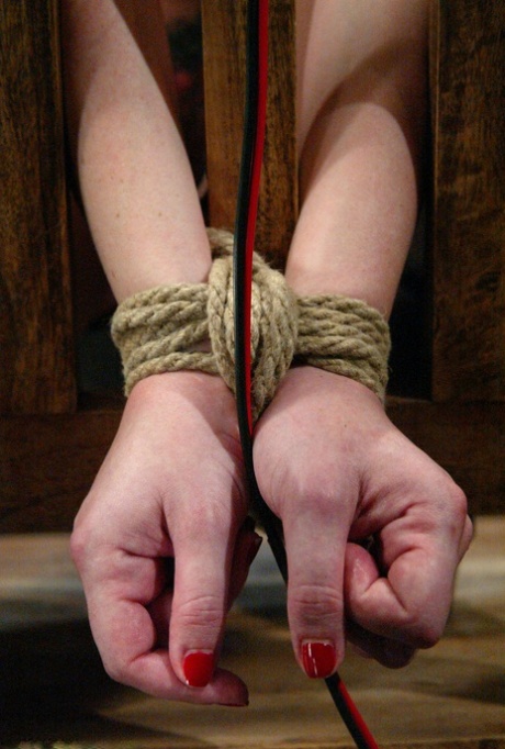 bdsm脚 性別 圖片