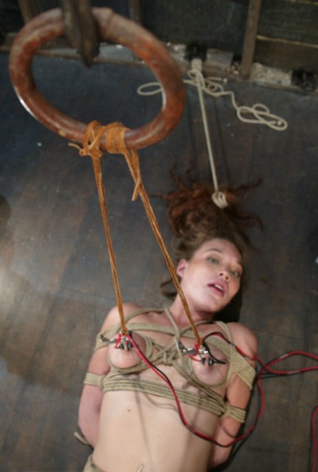 BDSM-Titten schöne heiße galerien