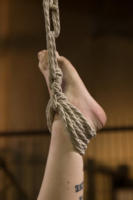bdsm pequeno bonito imagem