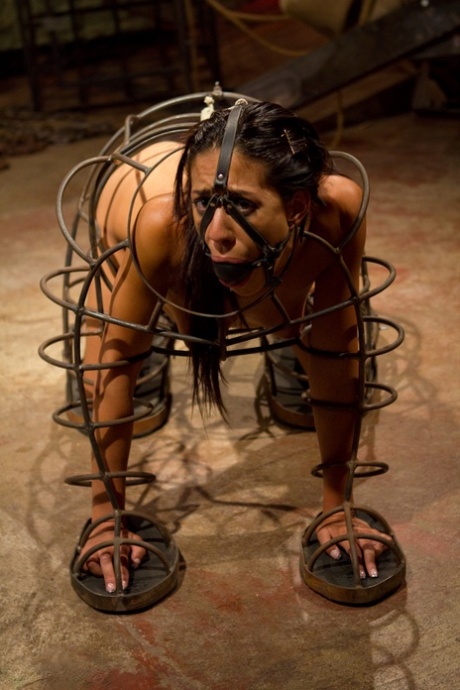 petite bdsm free sex gallery