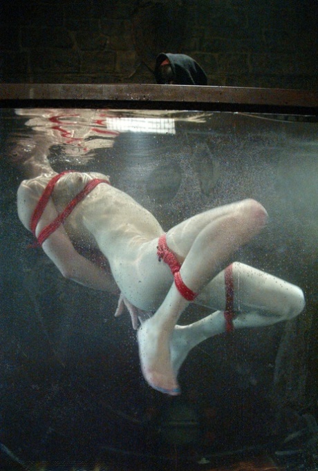 petite bdsm porno de haute qualité image