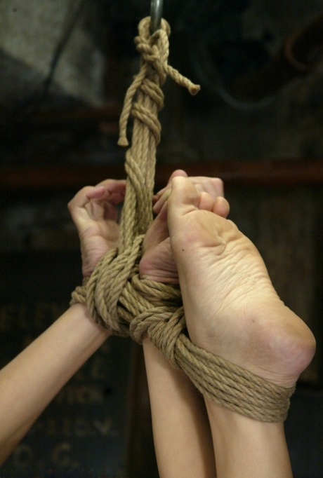 tied up nice gallery