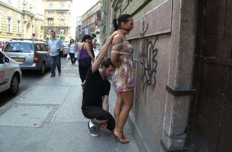 public bdsm top photo
