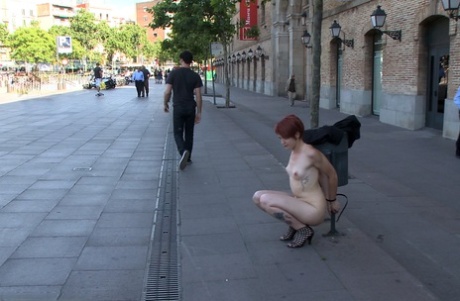 public bdsm pornos img