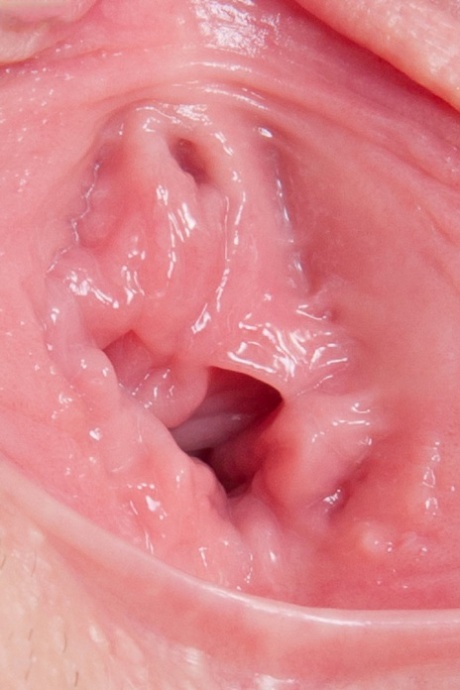 wet pussy close up erotic pictures