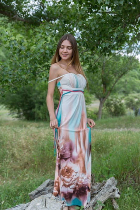 see through dress art naked picture