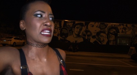 Demi Sutra free pornstar photo