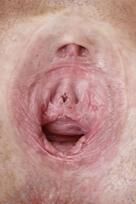 zející kundička pěkná erotika sbírka