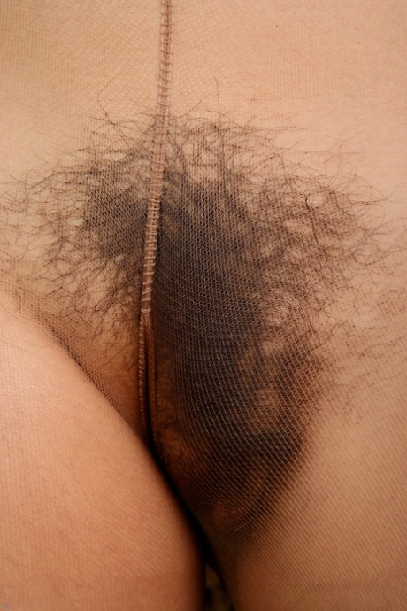 collants poilus sexe de haute qualité collection