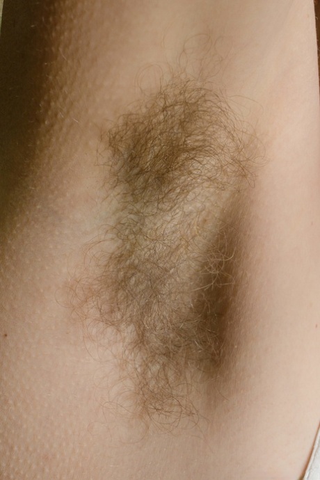vintage hairy adult photo