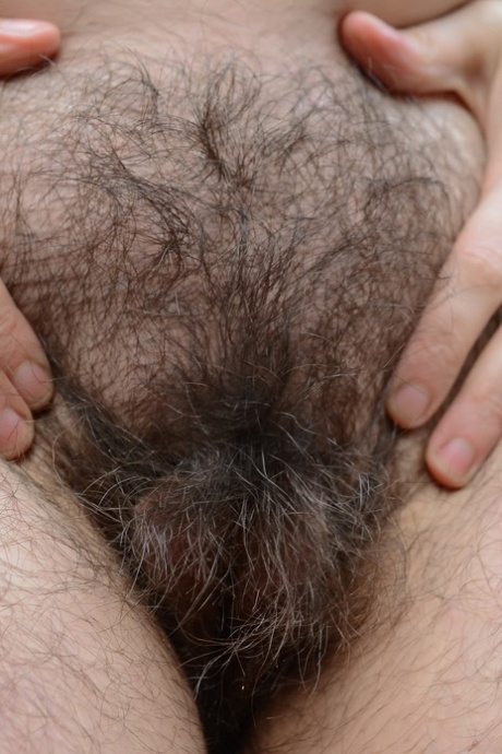 zeer harige kut hoge kwaliteit beste afbeeldingen