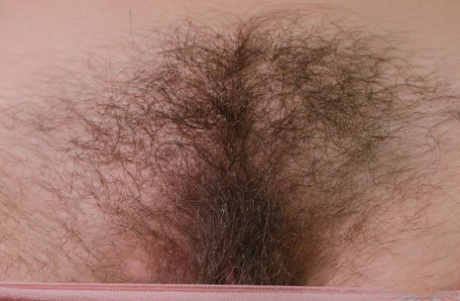 hårete husmor porno høy kvalitet foto