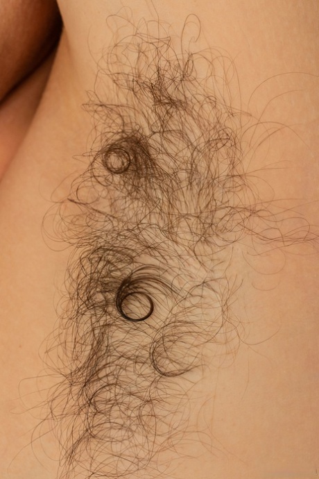 vintage hairy free porn galleries