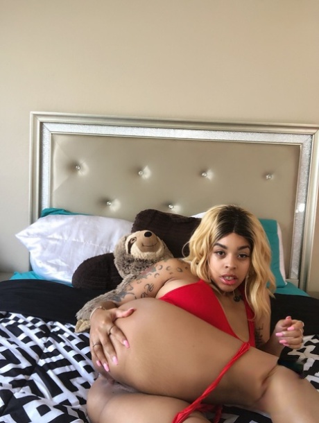 grosse chatte grasse adulte de haute qualité img