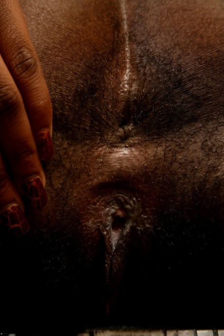 BBW de ébano hermosa gratis recopilación