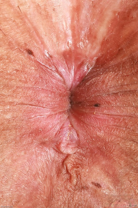 retro porno xxx obraz