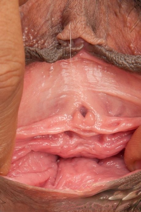 maman poilue sexe chaud image