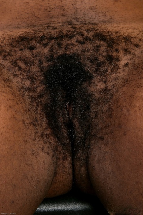 grosse chatte poilue parfait archive