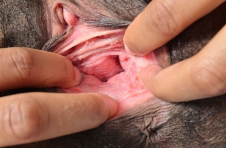 black pussy close up hd photo