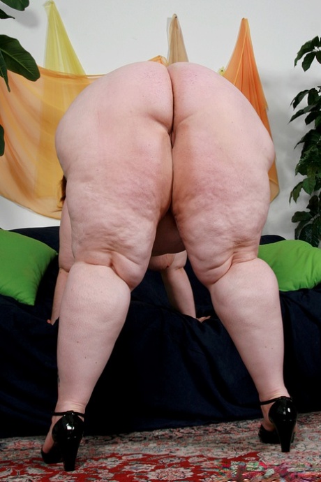 bbw big ass top pics