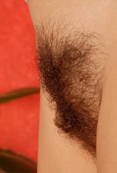 patte poilue haute définition adulte images