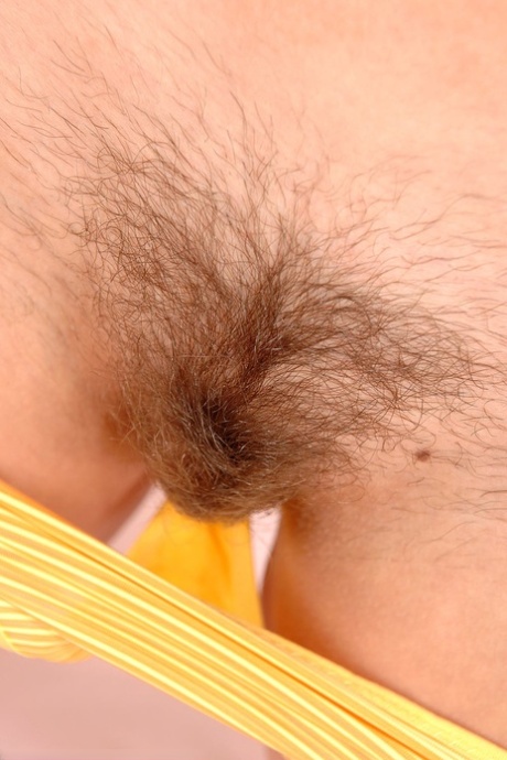 sexy chlupatý pěkná vysoká kvalita snímky