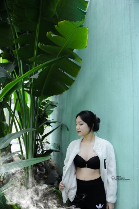 asiatique en plein air porno de haute qualité archive