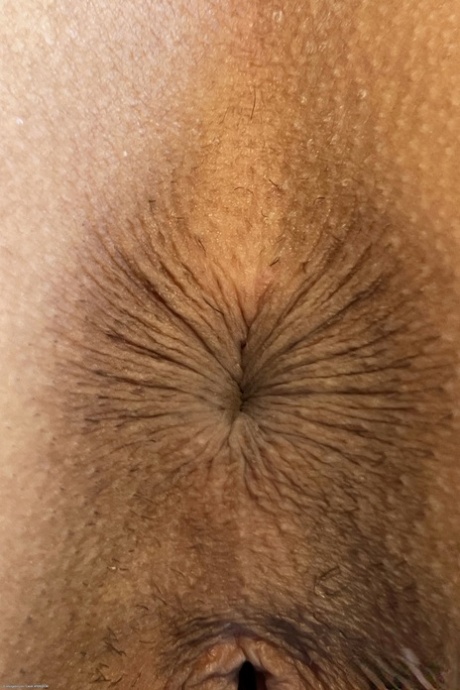 セクシーな尻穴 美しいxxx 画像