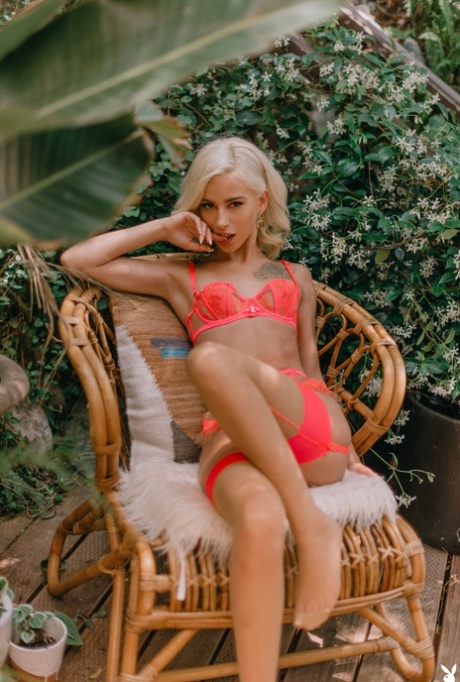 エロティックモデル 美しい 写真