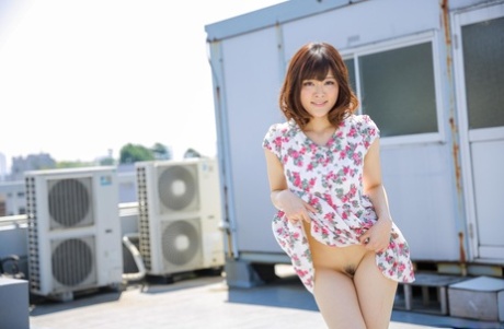 japonská pod sukni dokonalé horké obr