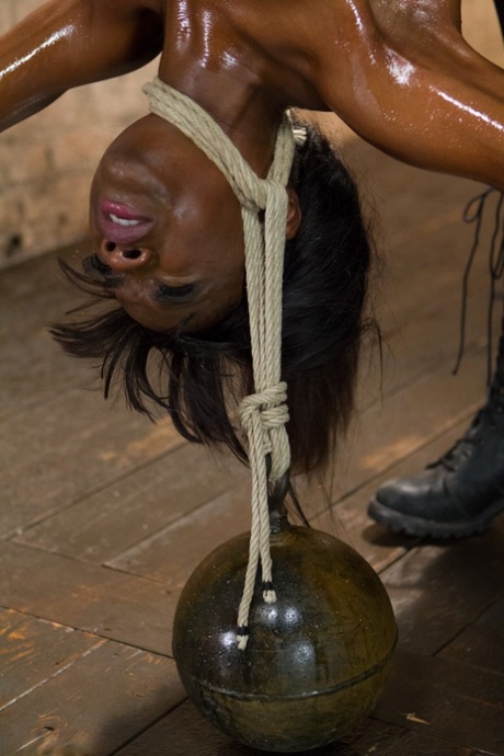 ebony bdsm hot sex galleries