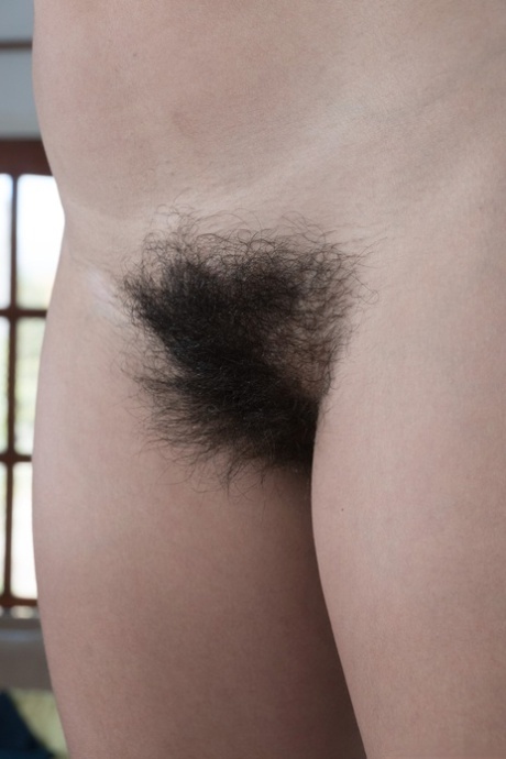 brunette hairy pussy sexy xxx pictures
