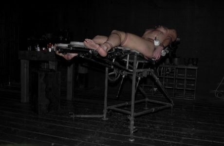 BDSMの足 HD 写真