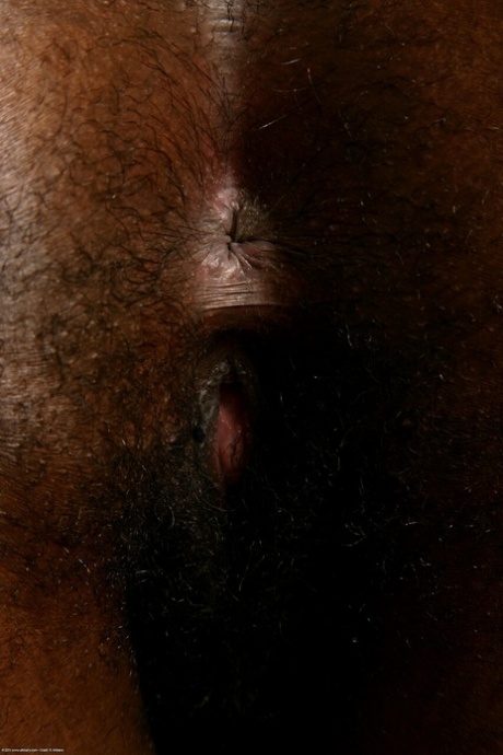 ébène poilue bbw art meilleur galerie
