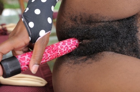 grosse chatte noire gratuit de haute qualité des photos